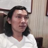 开着UFO的狼头像