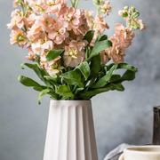 爱撕机膜人的个人资料头像