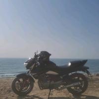 番茄110564543005头像