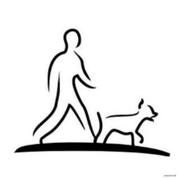 BitHachi的个人资料头像