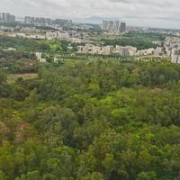 哥只是个梦tai头像