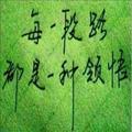花落花瓣飞14头像