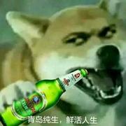 很怕似木头的个人资料头像