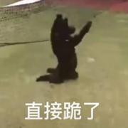 回忆里的感动的个人资料头像