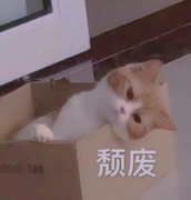 乌鸦坐飞机谁用谁nb的个人资料头像