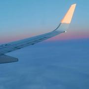 柳暗花又明的个人资料头像