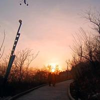 互动式告白头像