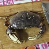 大华青露头像