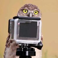 用户4520284627292头像