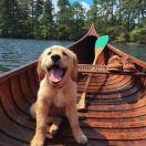 不能出去的个人资料头像