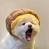 梓轩8208头像