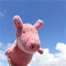 rhymed的个人资料头像