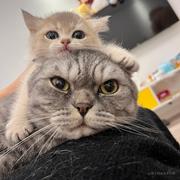 WalterWu的个人资料头像