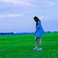 骑着海鸥看大海头像