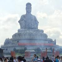 博学渝飞扬头像