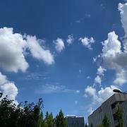 方舟156的个人资料头像