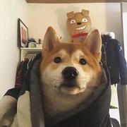 佳铭的个人资料头像