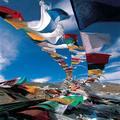 西藏自驾路书头像