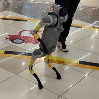顽强云朵JXa头像