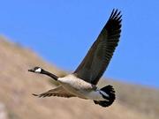 人生七八年的个人资料头像