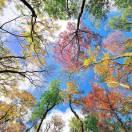 的信仰的个人资料头像