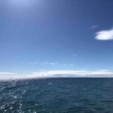 微信海洋YI头像