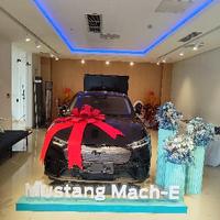 lrqx的标续黑马头像