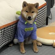 我是你斌哥的个人资料头像