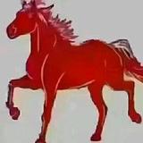 🐎千里马🐎1978年10月5头像