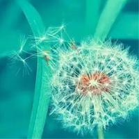 用户8657781873563头像