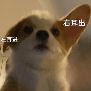 不认识头像