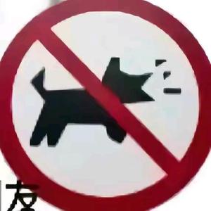 进取香瓜aRT头像