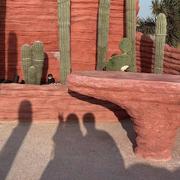 阿阳207的个人资料头像