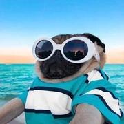 小郑又生气了的个人资料头像