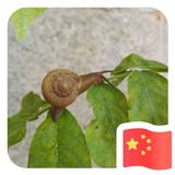 孟祥武382头像