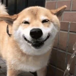 🚀🚀CLI 为什么在 2025 年突然复兴？看懂 Agent、Skill、MCP、CLI 四层架构