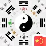 朝哥头像