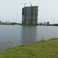 天高鸟才飞头像