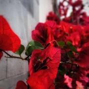 _MADAO的个人资料头像