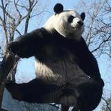 电梯口的爱情呀头像