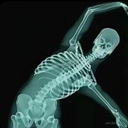 A碎冰冰的个人资料头像