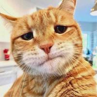 木剑游侠温不勝头像