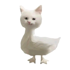 gugu泽先生头像