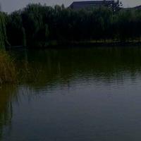 愿无岁月可回首308头像