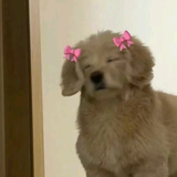 一世任逍遥头像