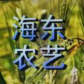 海东农艺头像