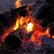 用户3820263596955的个人资料头像