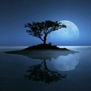 SHY502的个人资料头像