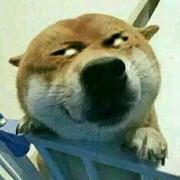 _天雨流芳_的个人资料头像