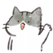 用户5780521354545的个人资料头像